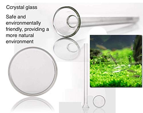 Shrimp Feeding Tube and Dish,2 Cup Clear Crystal Glass Fish Tank Shrimp Feeder Tube Tray - Image 7