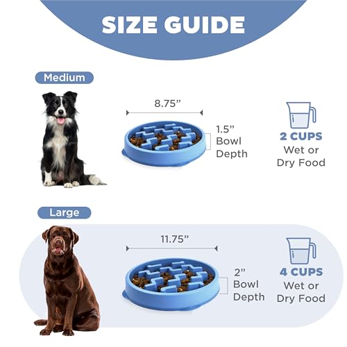 Outward Hound Large Slow Feeder Bowl, Puzzle Maze for Fast Eaters, Medium to Large Dogs, Helps Prevent Bloat & Aid Digestion, Holds 4 Cups Wet or Dry Food, Non-Slip, Made Without BPA, Blue - Image 6
