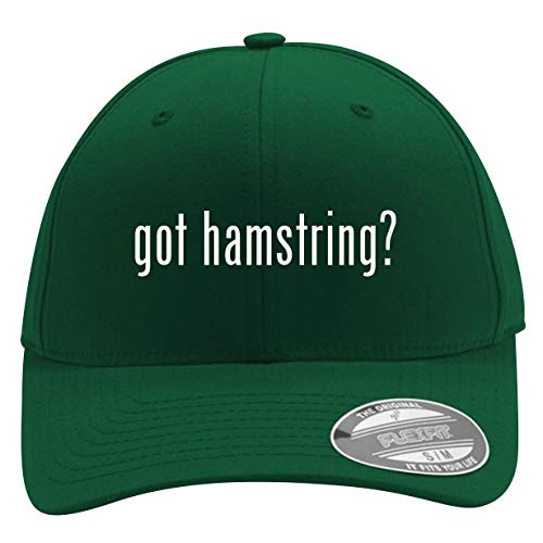 Best Glute Ham Developers