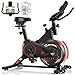 Dskeuzeew Heimtrainer Fahrrad mit APP und 0-100% Magnetwiderstand, Leises Hometrainer Fahrrad mit LCD-Monitor, Fitnessbike mit Tablet-Halter, Indoor Bike für Cardio-Training, Bis 160KG