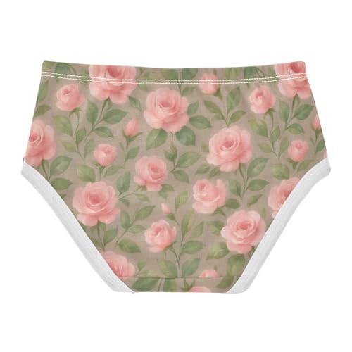 Joisal Vintage Pink Roses Little Girl Panties Girls Underwear Toddler Cotton Funny Briefs Kids Undies 2t2