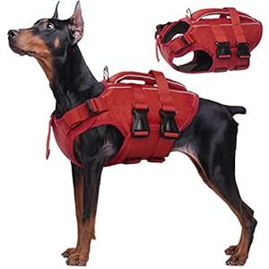 Kuoser Dog Life Jacket for Small, Medium, Large Dogs, Adjustable & Ripstop Dog Life Jacket with Rescue Handle, High Buoyancy Pet Life Saver, Puppies, Swimsuits for Beach, Red, XXL