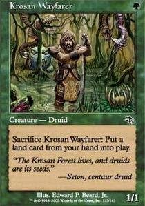 Magic the Gathering - Krosan Wayfarer - Juicio