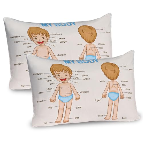 Ambesonne Science Pillow Sham Set of 2, Illustration of The Parts of The Body Names on Cartoon Boy, Quality Microfiber Bedding Item for All Seasons, 36