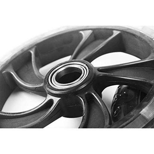 BESPORTBLE - Rolo de exercícios abdominais para treino de abdômen, roda, equipamento de ginástica pa