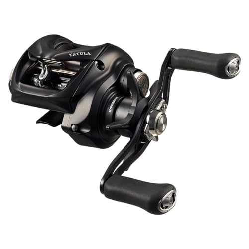 ダイワ(DAIWA) ベイトリール 24TATULA TW 100HL