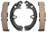 Raybestos 750PG Professional Grade Drum Brake Shoe Set