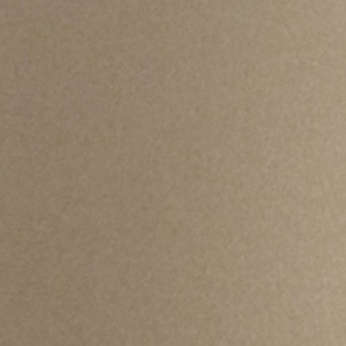 Anolon Bronze Nonstick Baking Pan With Lid / Nonstick Cake Pan With Lid, Rectangle - 9 Inch X 13 Inch, Brown #TOP2