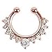 MTRSUE Fake Nose Ring,12Pcs Fake Septum Jewelry Nose Ring Hanger Clip On Clicker Crystal Piercing Non Piercing