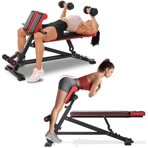 FLYBIRD 4 in 1 Workout Bench, Roman Chair, Weight Bench and Sit Up Bench for Hyper Back Extension and Full Body Workout with Handle, Abdomen core and Comprehensive Glute Training, Easy Moving wilth Wheels Home Gym Equipment Cover