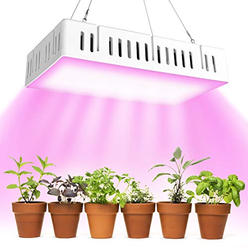 papasbox Lámpara LED para plantas, 48 W, 96 W, 1500 W, espectro completo (384 LED) Cover