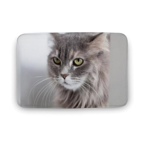 L   oX}bg \tg􂦂 z  փ}bg  O    ~ Aj LN^[ @}bg   ʏ