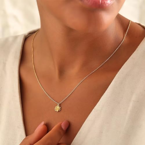 Dainty Flower Necklace for Women Birthflower Birthstone 14K Gold Plated necklaces Trendy Zircon Birthday for Women Jewelry3