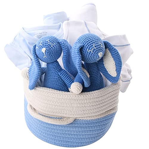 Non Toxic Gift basket for twin boys with organic items