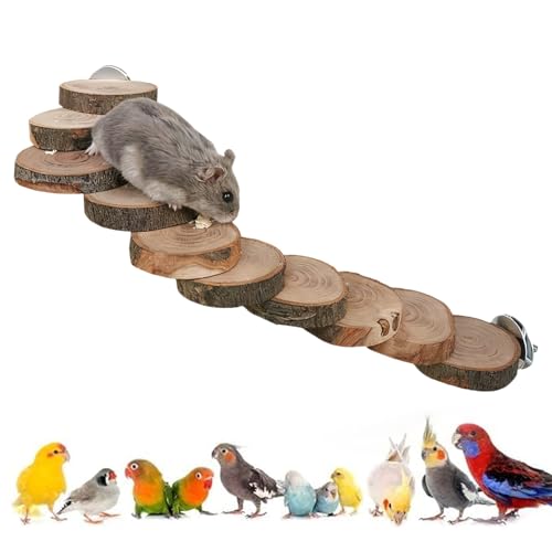 ZLZCCR ͂ - ^ NC~O  - CRp~܂؃ubW,IJCR tB` ƂŌǓƂȎ ދh~ _h Vя