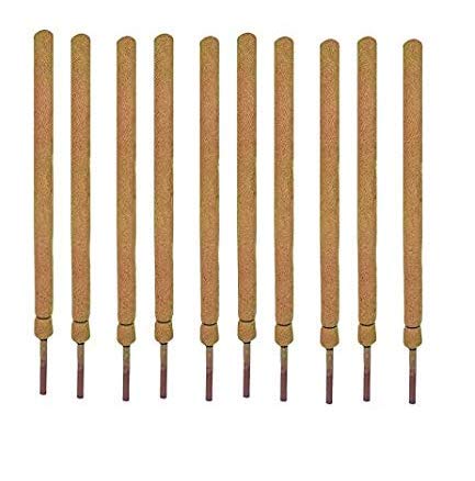 COIR GARDEN Coir Moss Stick 3 feet Plant Support - Coco Pole Stick (Pack of 10) - Coir Moss Stick for Money Plant Support, housing & Indoor Plants (B07BQ12ZN3) Amazon Price History, Amazon Price Tracker