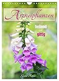 Arzneipflanzen - heilend und giftig (Wandkalender 2023 DIN A4 hoch), Calvendo Monatskalender - Gisela Kruse 