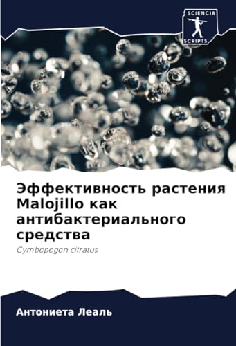 Эффективность растения Malojillo как антибактериального средства: Cymbopogon citratus