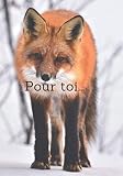 Pour toi...: Journal ligné de 100 pages. Superbe idée cadeau pour les amateurs de renards.