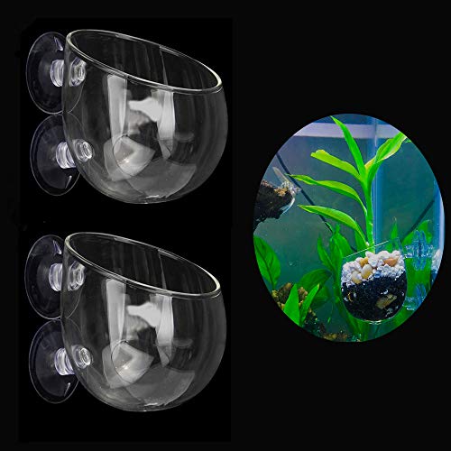 Ailinda 2PCS Crystal Glass Aquatic Plant Cup Pot Holder with Suction Cups for Fish Tank Aquarium Dec Ailinda 2PCS Crystal Glass Aquatic Plant Cup Pot Holder with Suction Cups for Fish Tank Aquarium Dec
