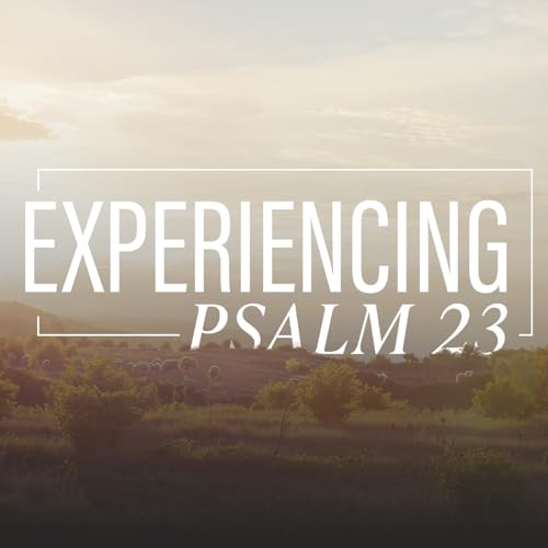 Page de couverture de The Radical Reality of Psalm 23