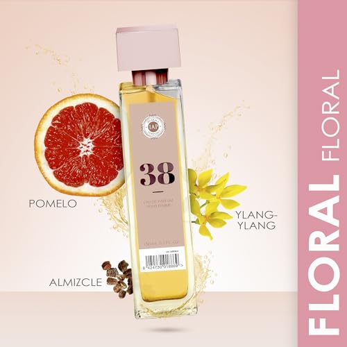 caravan 33 equivalencia