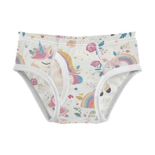 Wusikd Cute Unicorn Boys' Underwear Cotton Rainbow Roses Boys Briefs Soft Toddler Underwear 2T