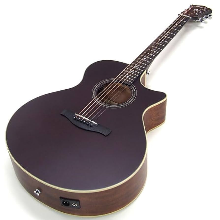 Amazon | アイバニーズ Ibanez AE100 BUF エレアコ