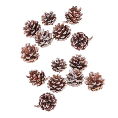 RORPOIR 25  ڂ  ~j`A ڂ Ntgp ^ DIY i NX}X oN 