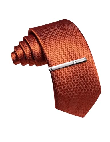 Image of Barry.Wang Silk Men Ties Formal Stripes Necktie and Tie Clip for Wedding Party Business Fashion Classic