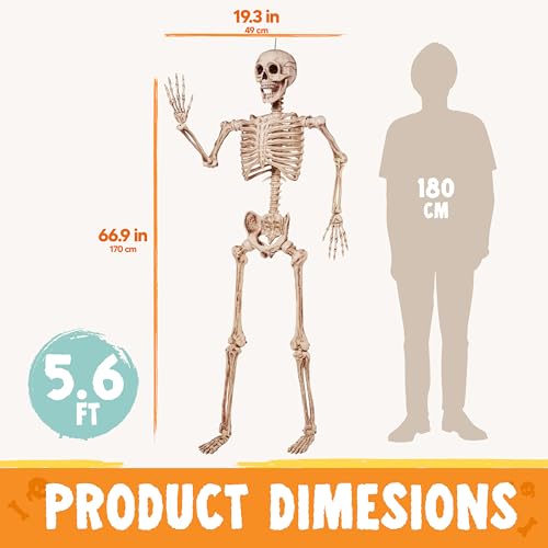 JOYIN 5.6 FT Halloween Posable Life Size Skeleton の商品画像 6
