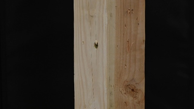 Image of Velocity Interior 1 1 /2 Inch Wood Screws Contractor Pack (Size #6, 876 Pcs) - Self Tapping Screws with Phillips Bits, Stick Tight Technology, Carbon Steel with Zinc Plating, Durable Storage Organizer