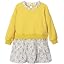 Freesia Yellow