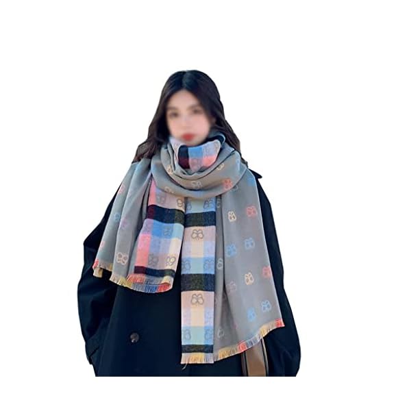 HLMSKD Autumn/Winter Double-Sided Long Imitation Cashmere Scarf Women Winter Shawl Dual-use Versatile Warmth Padded Scarf (Color : A, Size : 65 * 190cm)