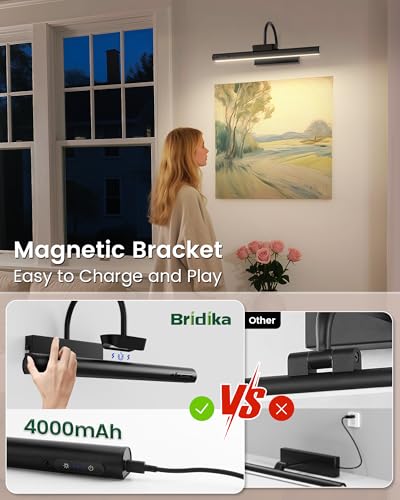 Bridika Picture Light Battery Operated, 19.7in Picture Lights for Wall, 3 Colors & Brightness Dimmable, Rechargeable Art Light for Paintings Photo Dartboard Gallery Bedroom Bathroom Black