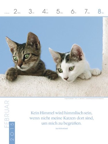 Katzen 2015: Literatur-Wochenkalender