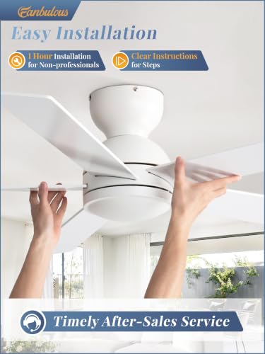 Image of Fanbulous 42 Inch Small Ceiling Fan no Light, Flush Mount, White