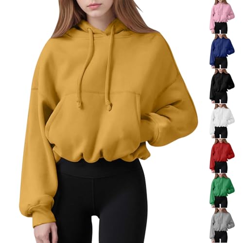Women's Cute Cropped Hoodies Y2k Long Sleeve Sweatshirts Fall Fashion Outfits Hooded Sweatshirt Elastic Hem Clothes