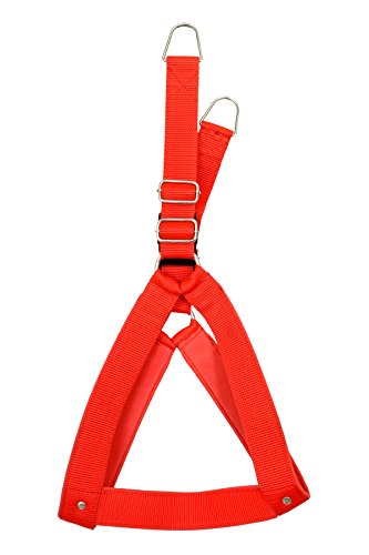 Image of No Pull -Step in Soft Padded Buckle Dog Harness and Collar Leash - Escape Proof Adjustable Combo for Walking Training Hiking Outdoor (Red, Extra Small)