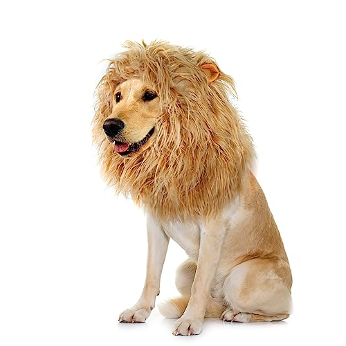 Onmygogo Löwenmähne Perücke für Hunde mit Ohren, lustige Haustierkostüme für Halloween Weihnachten (Größe L, Gelb)