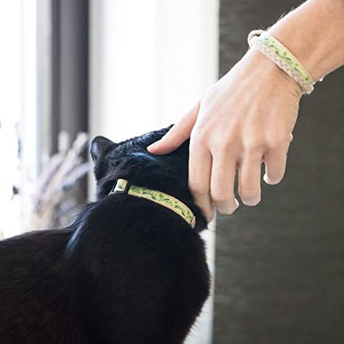 Pettsie Matching Friendship Bracelets, 2 Pack Set, Easy Adjustable, 100% Cotton (Green) #TOP3