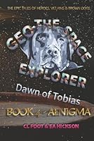 Geo the Space Explorer: Book 4 Aenigma 1764148592 Book Cover