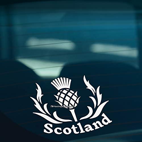 HastingsDesigner SCOTLAND SCOTTISH THISTLE Car,Window,Bumper or Laptop Vinyl Decal Sticker (White)
