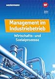 Management im Industriebetrieb: Wirtschafts- und Sozialprozesse Schulbuch