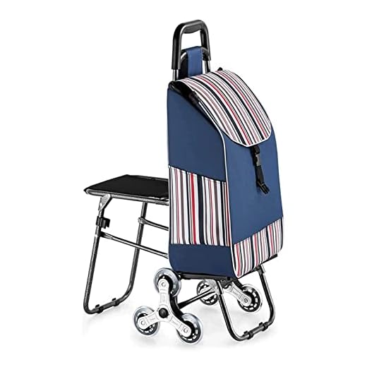 BAUBUY Carro de la Compra con Asiento Carro de la Compra Plegable Subir escaleras Carro de Mano portátil Bolsa de comestibles con Ruedas para un fácil Almacenamiento