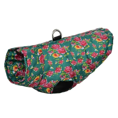 OhhWbp[fUC~gybgWPbg D OtViEU[Č`pO,,2XL