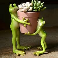 Amazon.co.jp: MJKQ9 蓮の葉の上のお祈りかえるかえる カエル 蛙