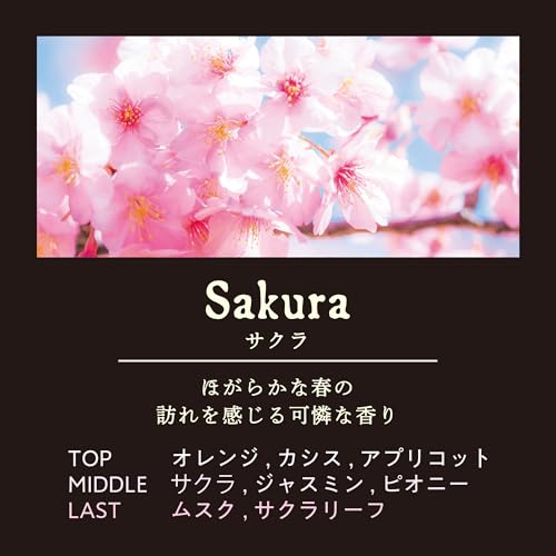 Image of CARALL Seeks Liquid Sakura Car Air Freshener 160ml (Japan)