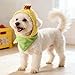 Baoblaze Corn Headgear Cute Cat Costume Hat,Funny Comfortable Party Costume Accessory Dress up for Cat Puppy Dog Small Pets Adorable