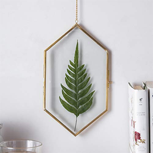Ncyp Vintage Brass Copper Floating Hanging Glass Long Hexagon Picture Photo Frame For Fern, Pressed Flower, Specimen, 5.7X9.8 Inch #TOP6
